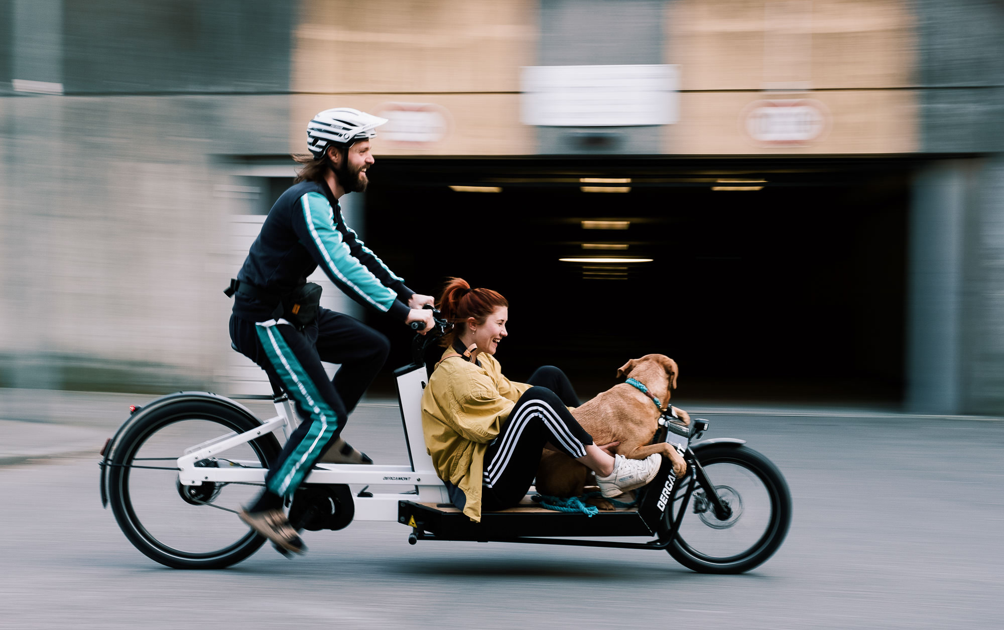 cargo ebike—载货电动自行车,或是还未被挖掘的市场