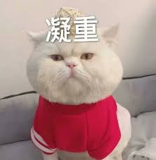英国小伙发明独轮车Cycoped,靠意念驾驶,怎么做到的?-唯轮网