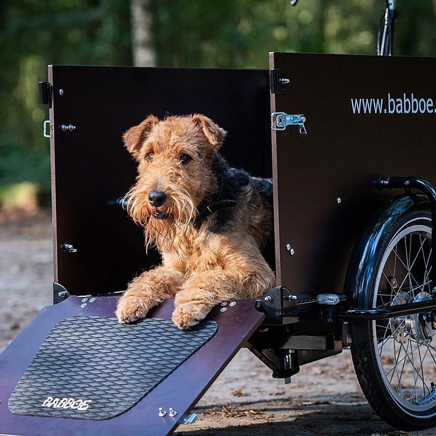 Cargo ebike—载货电动自行车,或是还未被挖掘的市场-唯轮网